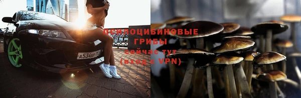 гидра Бугульма