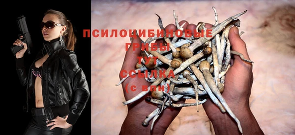 бутират Бородино