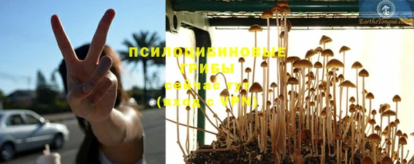 таблы Бронницы