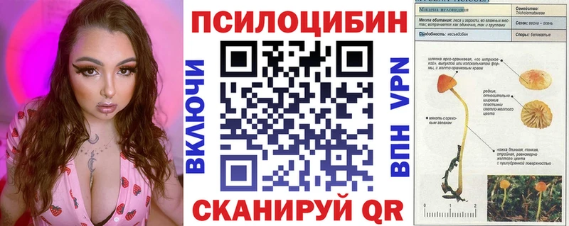 сколько стоит  Дагестанские Огни  Галлюциногенные грибы MAGIC MUSHROOMS 